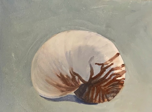 NAUTILUS #1 SHELLS - TRIPTYCH
Oil on Canvas
20 x 40 cm
$225.00 (3 panels) or $75.00 each NAUTILUS #1 SHELLS - TRIPTYCH
Oil on Canvas
20 x 40 cm
$225.00 (3 panels) or $75.00 each